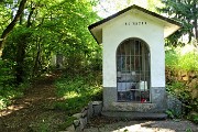 Al Perello sul sent. CAI 514 e al Monte Castello da casa, da Zogno il 23 maggio 2019 - FOTOGALLERY